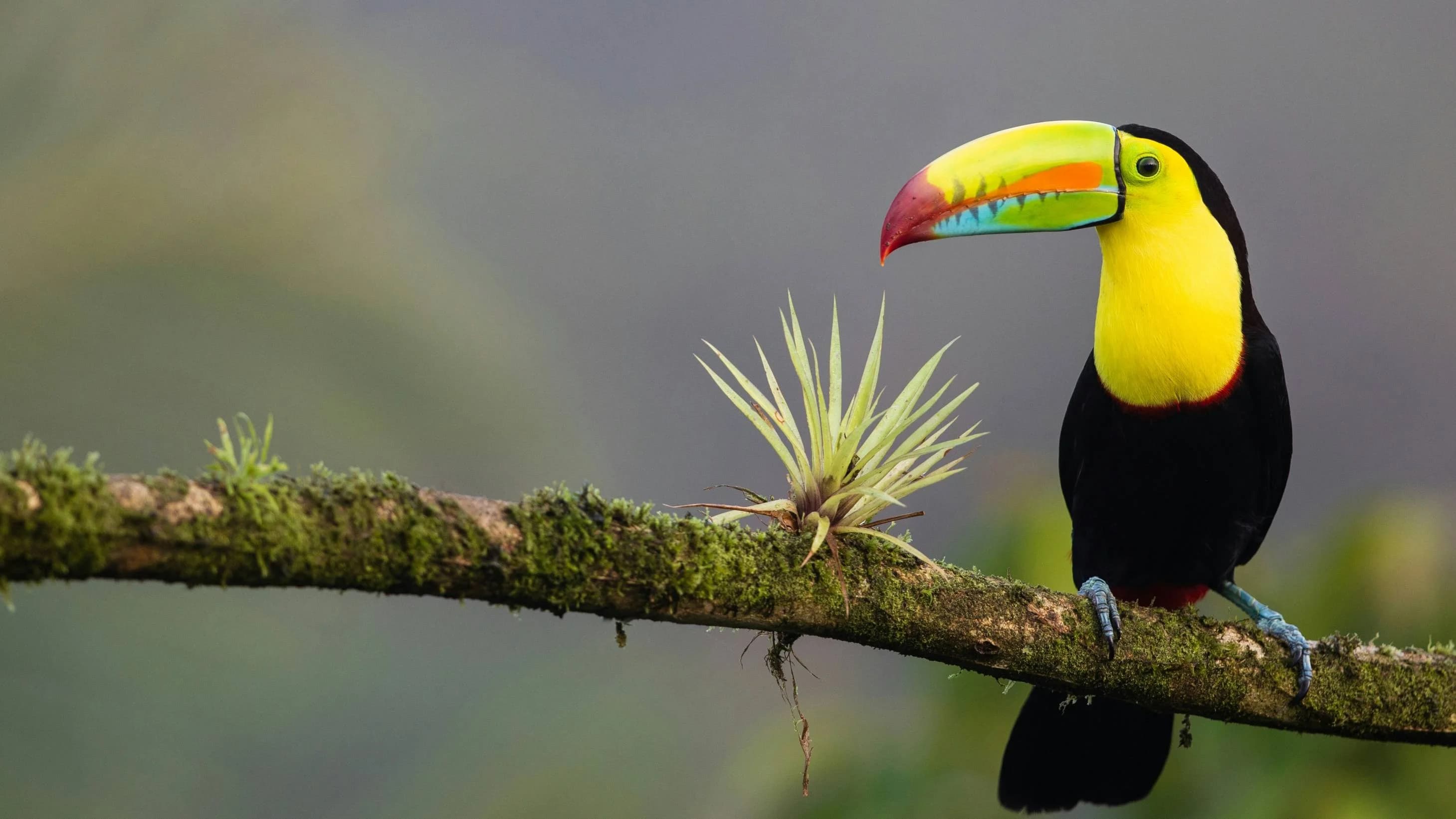 Costa Rica